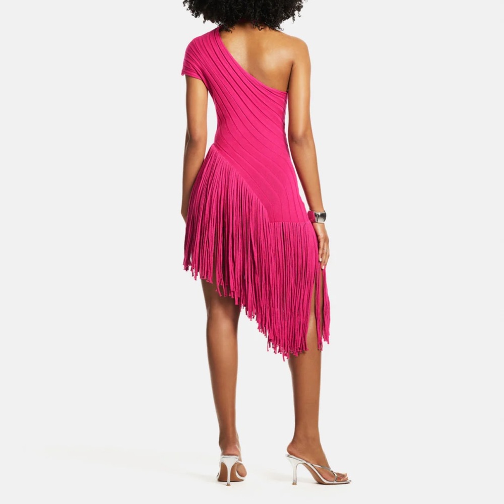 Hanifa Vibrant Pink Asymmetrical Fringe Dress - Picture 2 of 2